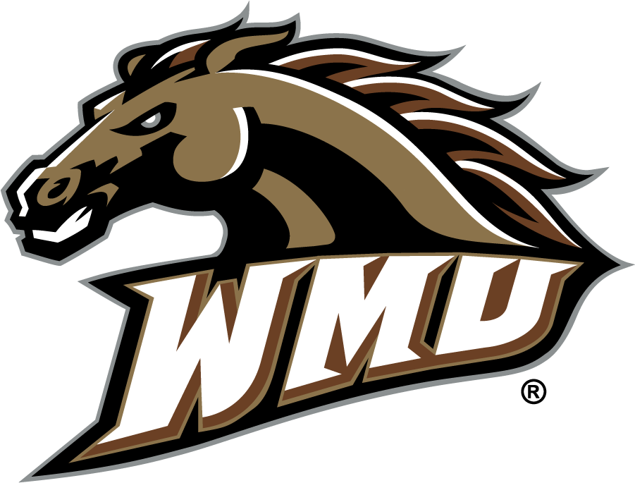 Western Michigan Broncos 1998-2016 Alternate Logo iron on transfers for T-shirts